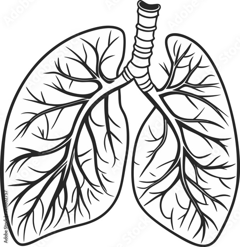 Human lungs vector icon.