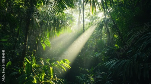 Sunbeams Illuminating Lush Tropical Rainforest