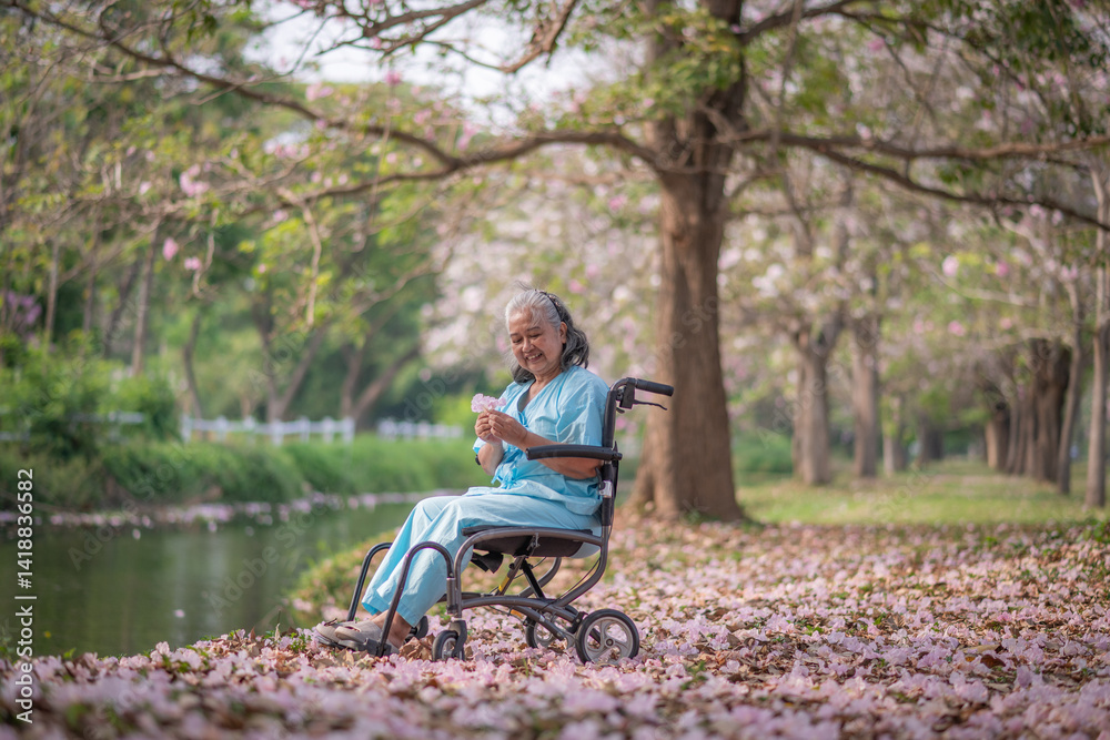 Happy elderly female patient sits wheelchair joyful with beauty nature blooming flowers create environment emotional therapy well-being for elderly patients. Happy elderly female patient sits wheelchair joyful with beauty nature blooming flowers create environment emotional therapy well-being for elderly patients.