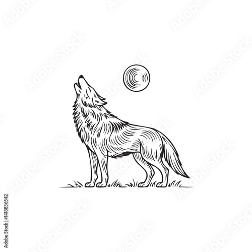 vector illustration of a Wolf