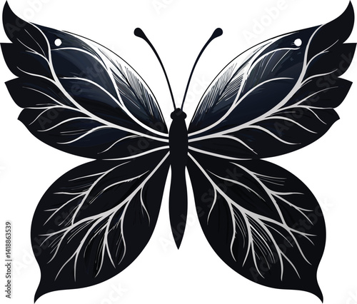 butterfly on white background