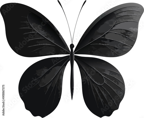 black and white butterfly