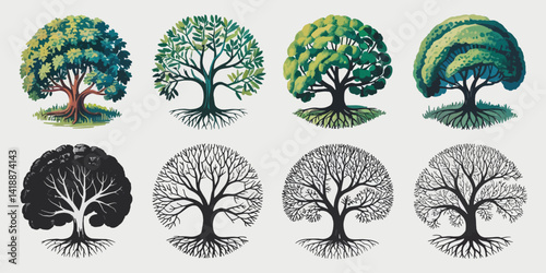 Set of Colourful and black banyan duality tree combo Package collection, Logo Icon Vector illustration design