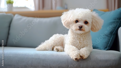 Friendly Therapy Dog Providing Comfort and Support in a Healthcare Setting  The calm and gentle presence of the therapy dog helps to alleviate stress promote relaxation