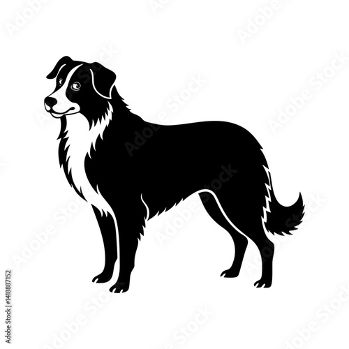 australian-shepherd-vector-silhouette illustration