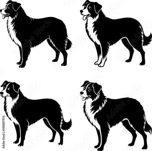 australian-shepherd-vector-silhouette illustration