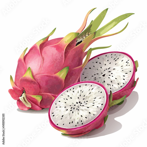 Realistic illustration of whole dragon fruit and half-cut pitaya showing white flesh and seeds, isolated on transparent background
