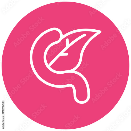 Pancreas Icon