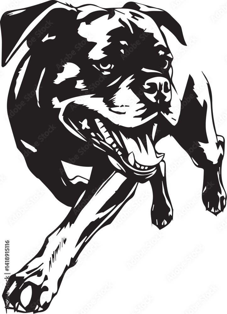 Fototapeta premium Rottweiler, rottie Peeking Dog,black vector silhouette illustration on white background