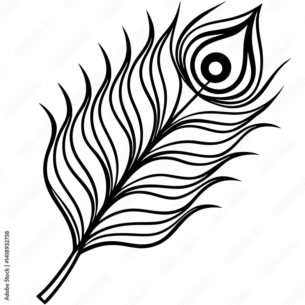 feather vector illustration feather vector illustration