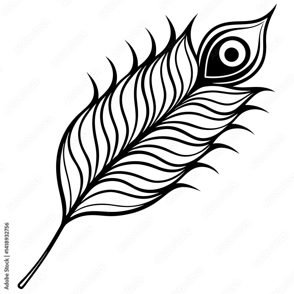 feather vector illustration feather vector illustration