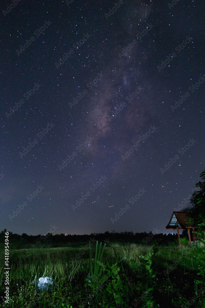 Naklejka premium Starry night over tranquil fields rural landscape photography night sky long exposure cosmic beauty