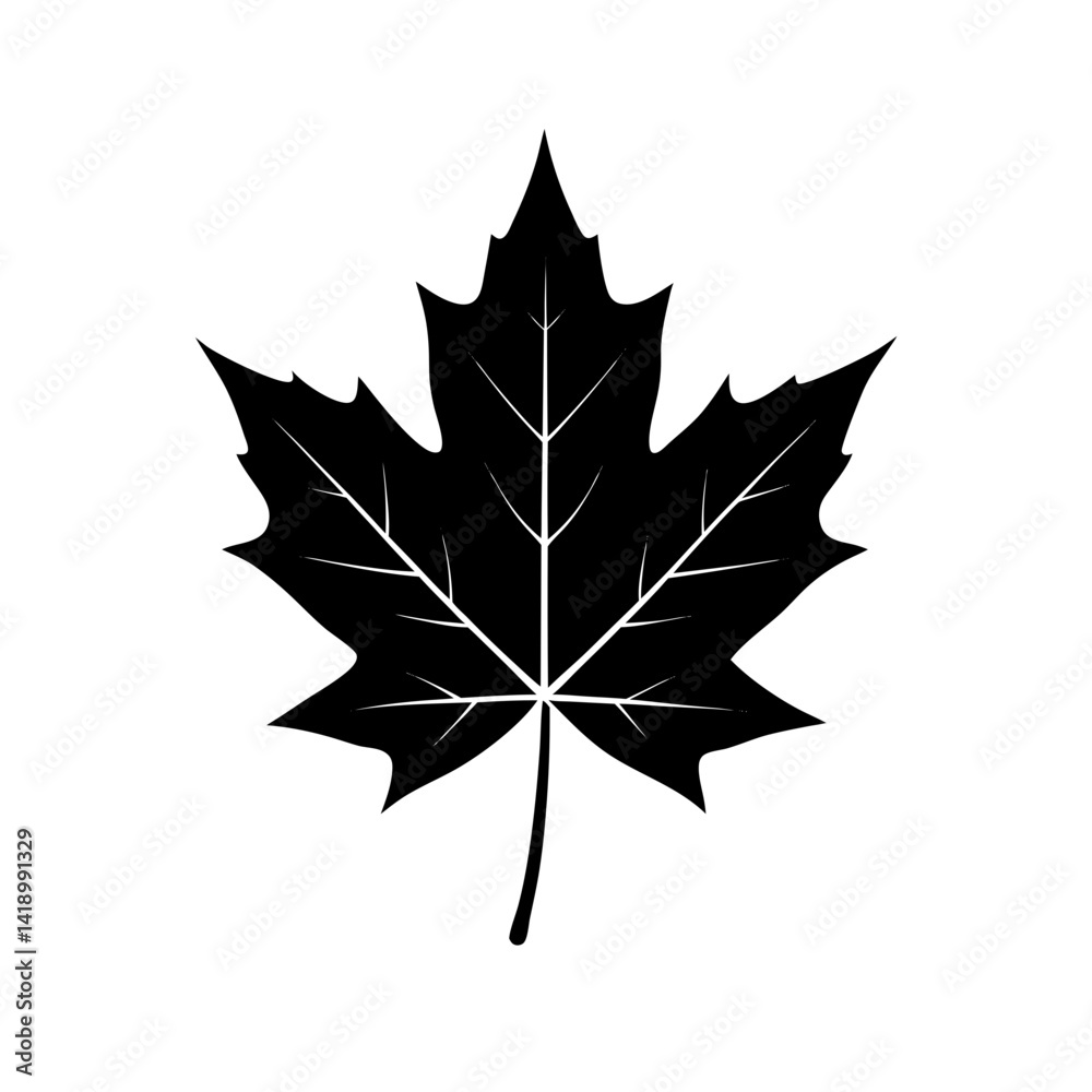Fototapeta premium Maple Leaf Silhouette vector illustration
