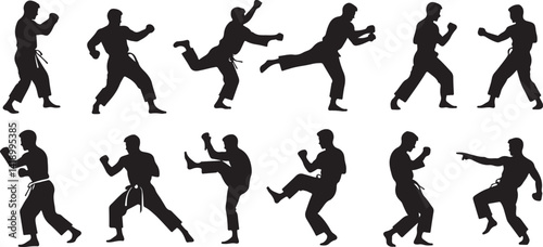 Wallpaper Mural  Flying Kick silhouette Torontodigital.ca