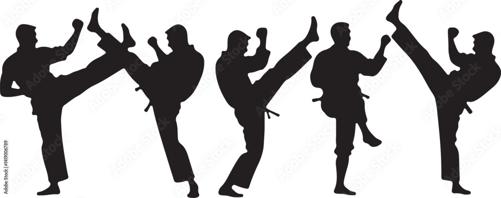 Obraz premium Flying Kick silhouette