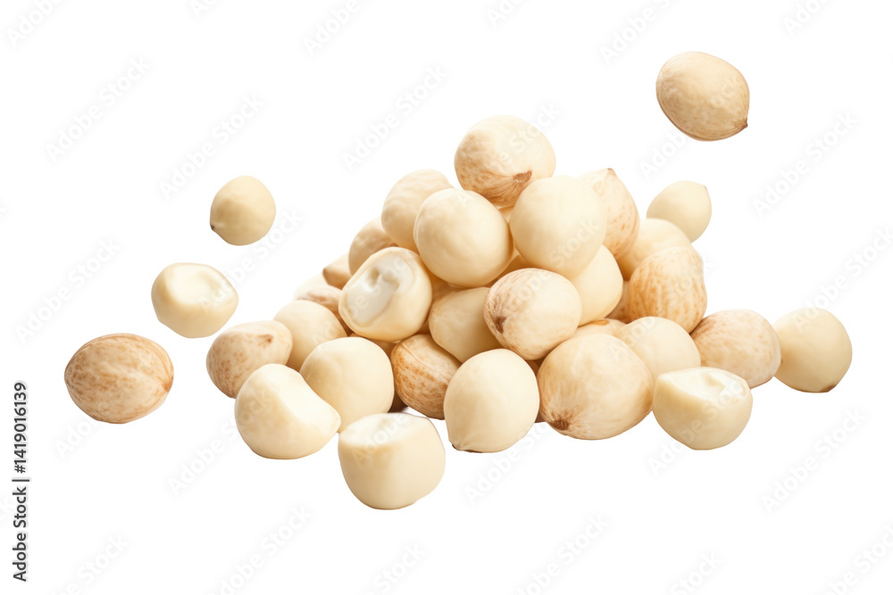 Macadamia Nuts Falling Creamy... on a transparent background Macadamia Nuts Falling Creamy... on a transparent background