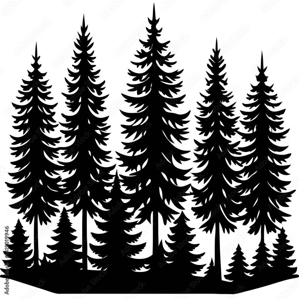 Evergreen Forest Silhouette – Pine Tree Vector Landscape Isolated on White Background Evergreen Forest Silhouette – Pine Tree Vector Landscape Isolated on White Background
