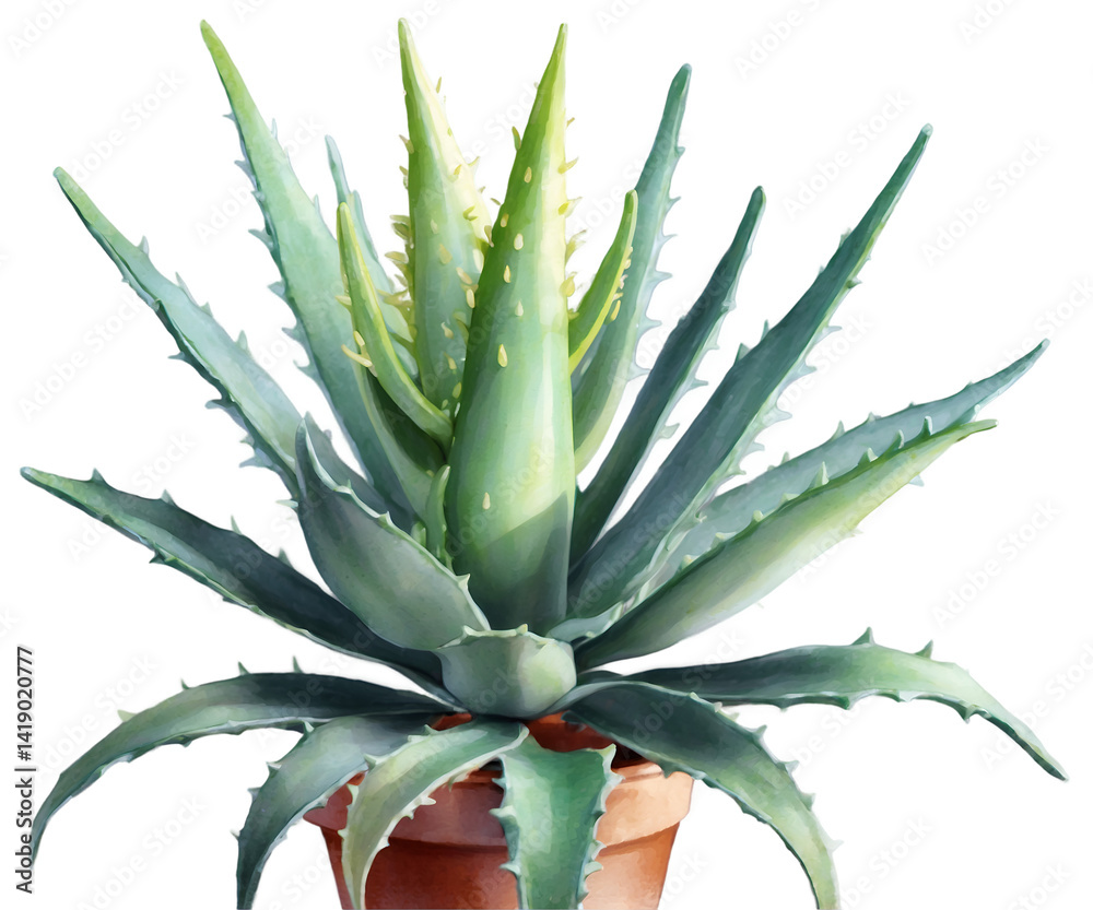 Fototapeta premium Watercolor Illustration of an Aloe Vera Plant in a Terracotta Pot, Capturing the Botanical Beauty and Artistic Simplicity of this Succulent Garden Favorite