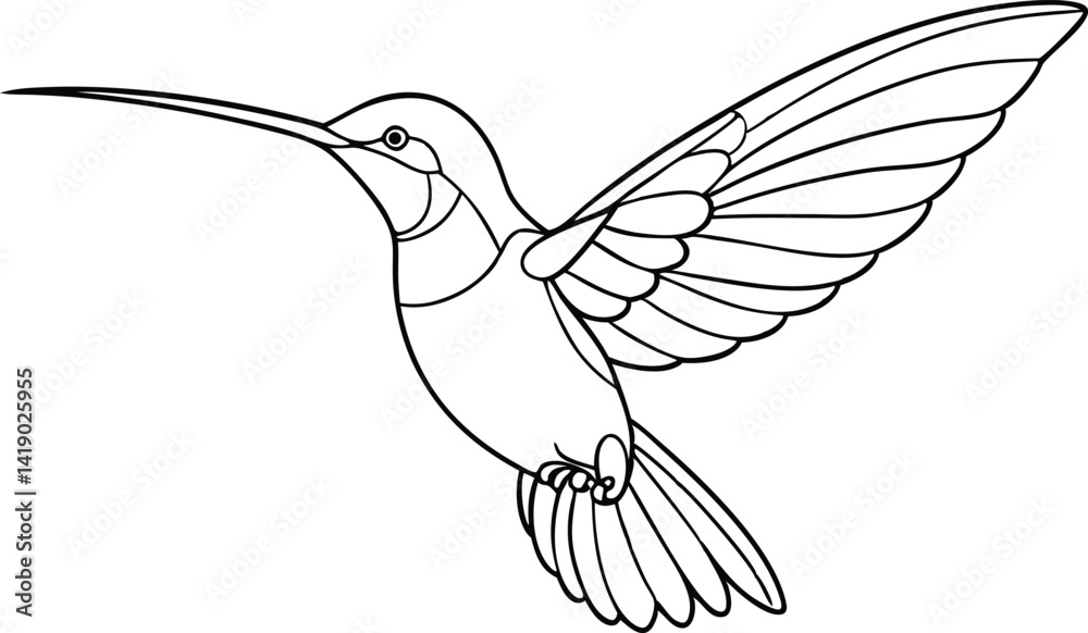 Fototapeta premium Hummingbird Line Art, Black Outline, Flying Bird Illustration, Detailed Wing, White Background