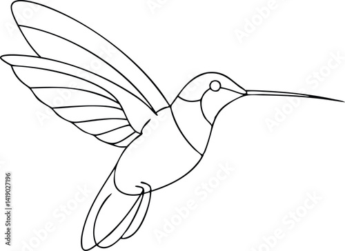 Minimalist Hummingbird Line Art Flying Bird Outline, Isolated, Detailed Wings, Simple Design