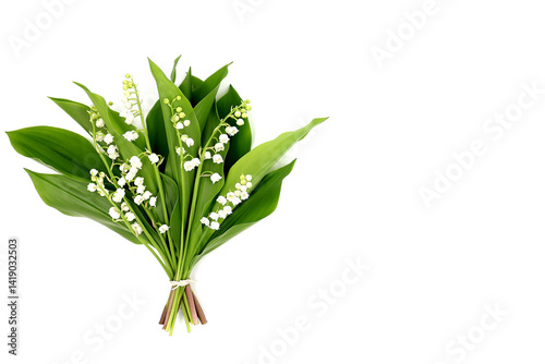 Bouquet of lily of the valley isolated on a white background. Convallaria. Card with copy space.