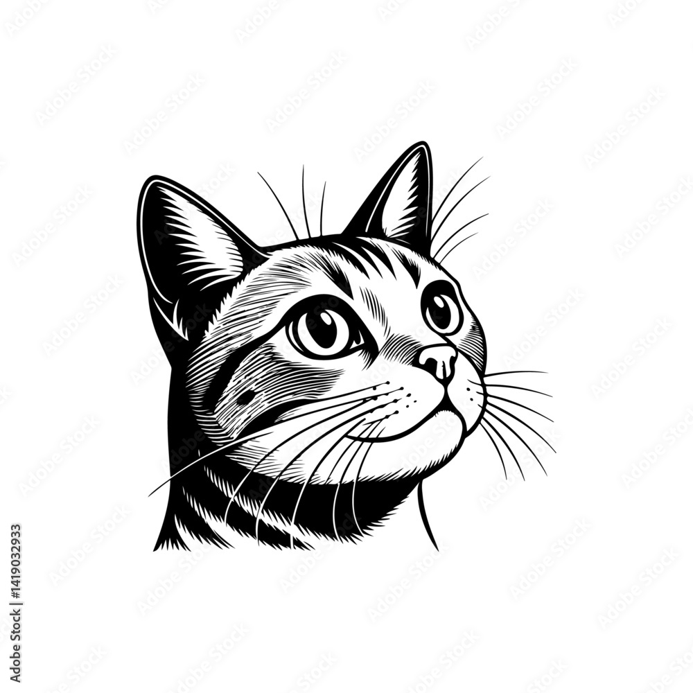Fototapeta premium cat face