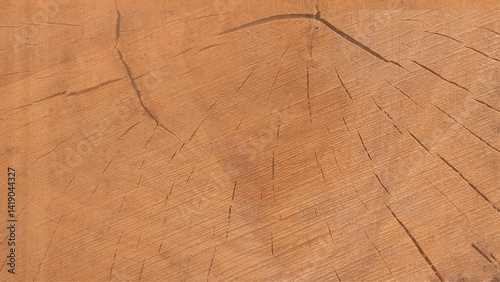 Wooden background. Wood Texture Background. Vector 