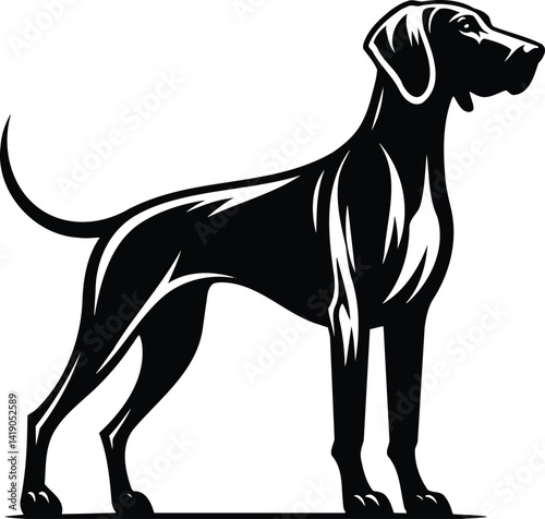 Hound Standing Alert Silhouette with Elegant and Muscular Form