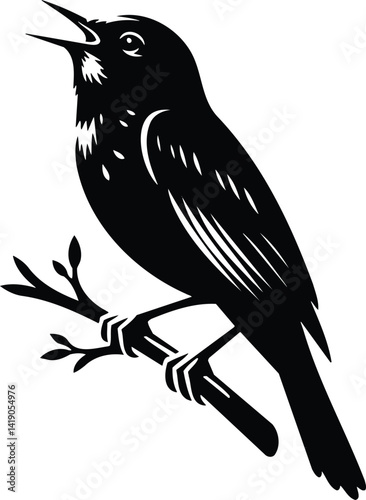 Nightingale Singing on Branch Black and White Silhouette