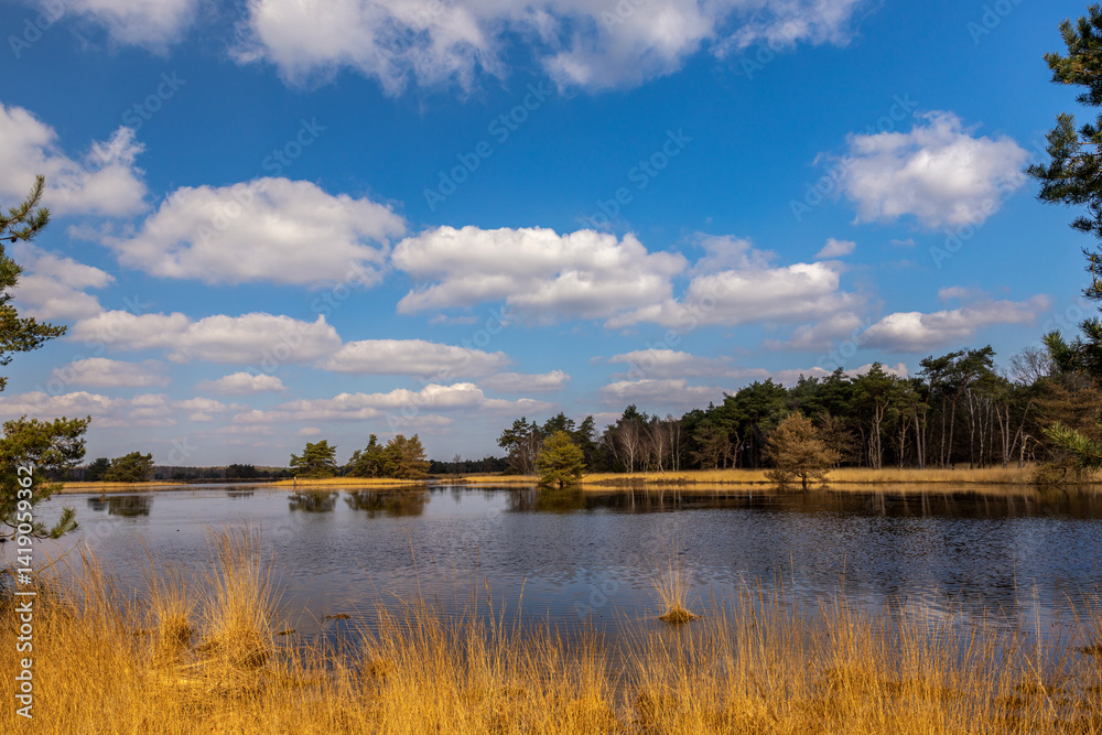 Obraz premium De Regte Heide - Holland