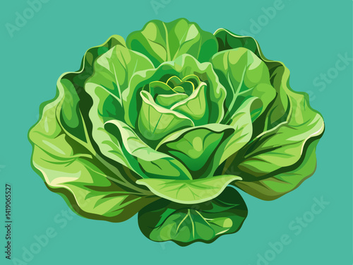 A professional vector of crisp lettuce with organic shading and curly edges, placed on a solid mint green background