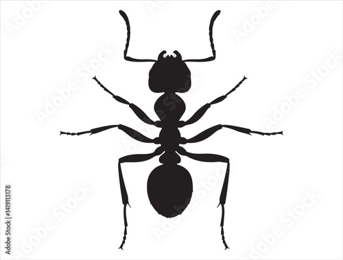 Ant silhouette white background
