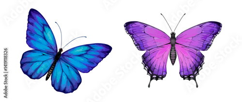 Watercolor butterfly illustration set with vibrant blue and purple wings. Hand painted insect vector for nature design prints and decorative artwork