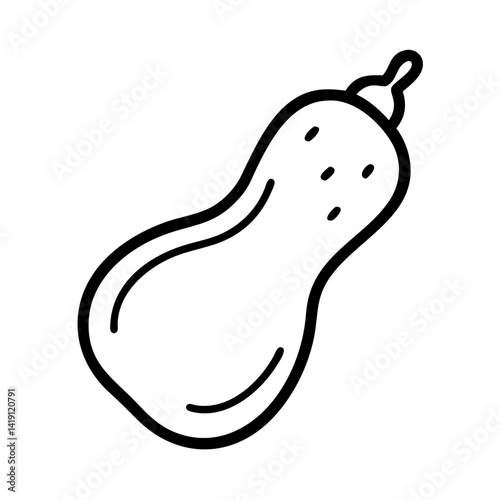 Butternut squash vector illustration outline drawing isolated autumn vegetable food design element