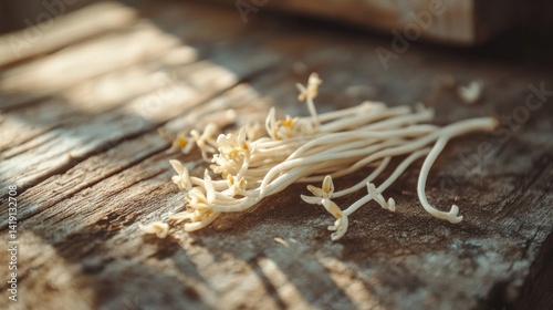 Obraz na płótnie Close-up of a handful of bright, white bean sprouts lying on a rustic wooden surface, with natural sunlight gently highlighting their delicate texture. w salonie