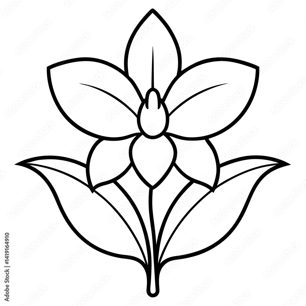Obraz premium Orchid vector illustration of a flower