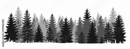 Pine tree silhouette vector set: evergreen coniferous forest, nature spruce tree park view, coniferous woods silhouette illustrations