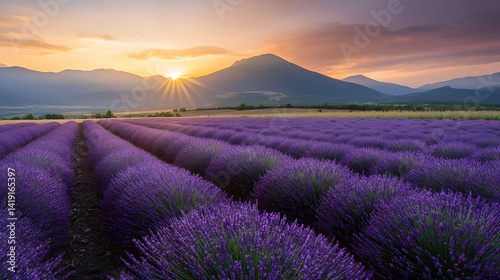 Breathtaking panoramic view of a vast lavender field stretching to the distant horizon under a warm golden sunset sky creating a serene and picturesque natural landscape