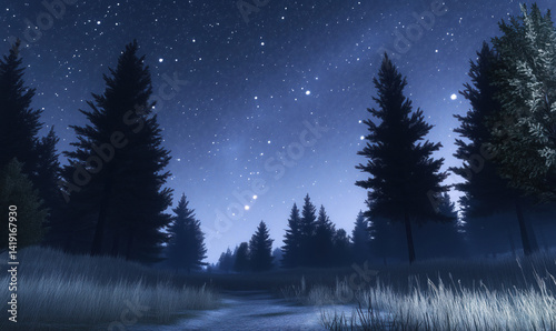 Obraz na płótnie Starry Night Sky Over Winter Forest Pathway with Tall Pine Trees and Frosty Grass. w salonie