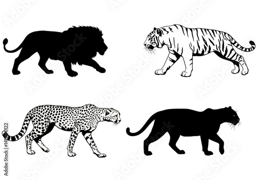 Majestic Big Cats Lion, Tiger, Cheetah, Panther Silhouettes & Line Art