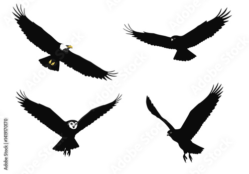 Majestic Birds in Flight Eagle, Owl, Raven & Vulture Silhouettes