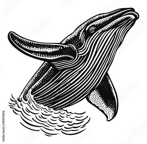 Detailed Engraving of a Whale Breaching the Surface of Water
