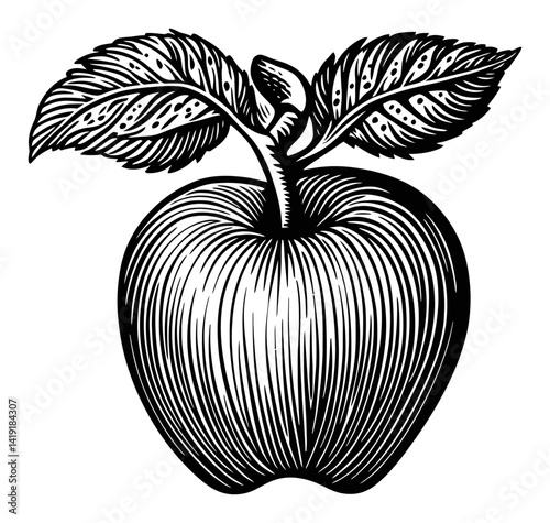 Detailed Black and White Engraving of an Apple with Leaves