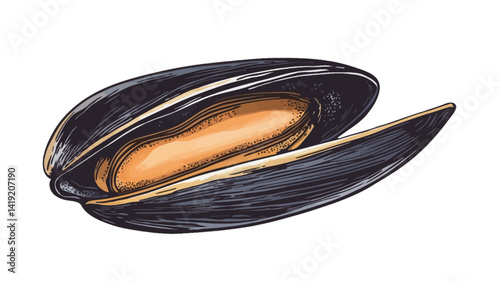 This detailed close-up photo shows an open mussel shell against a pure white background. The mussel shell is rendered with high contrast, showing the deep inky black color and warm tones of the shell.