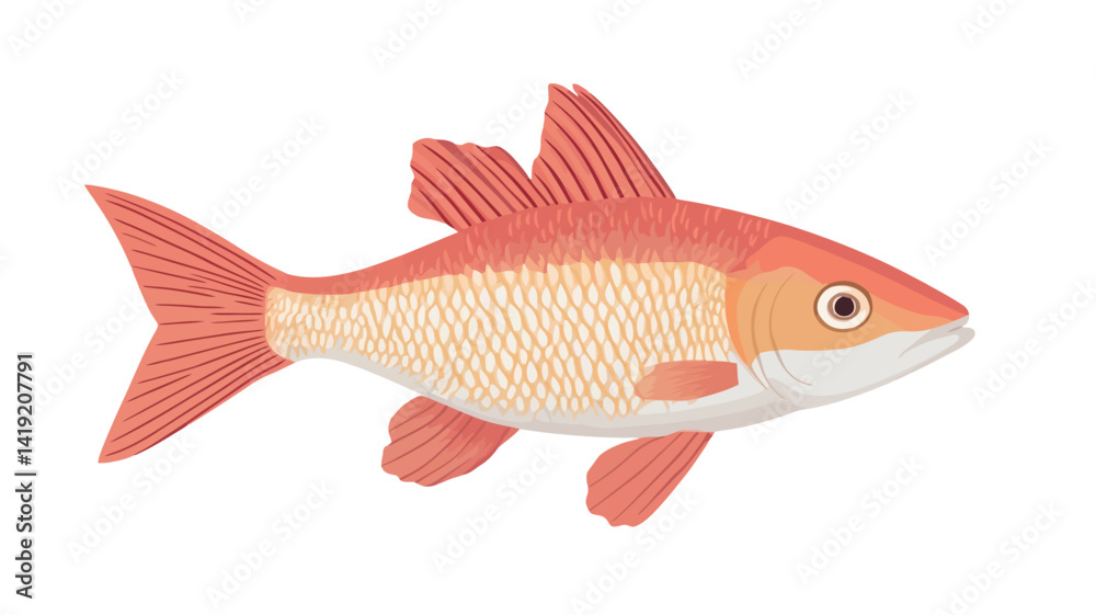 A detailed digital illustration shows a red mullet, painted in vibrant red and orange tones. The fish is clearly visible in profile, with the intricate details of its scales visible. A detailed digital illustration shows a red mullet, painted in vibrant red and orange tones. The fish is clearly visible in profile, with the intricate details of its scales visible.