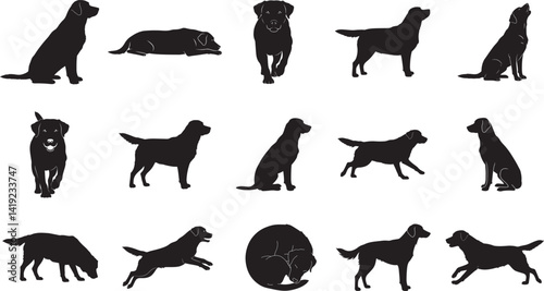 Flat full black vector silhouette set of medium-sized Labrador Retriever dog in 15 different poses, solid black shape, minimal style, side and front views