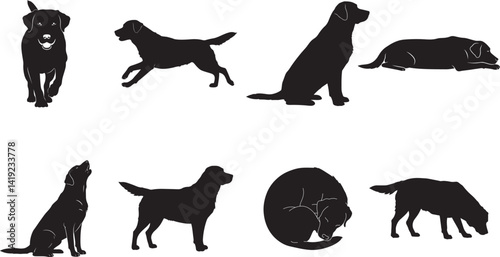 Flat full black vector silhouette set of medium-sized Labrador Retriever dog in 8 unique poses, solid black shape, minimal design, pet symbol, clean cutout