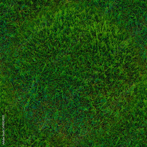 The green texture of the grass. Bright, green grass in close-up. Green background.Seamless image.