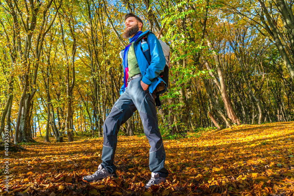 Obraz premium Low-angle view of a bearded male hiker in a blue jacket and backpack walking through an autumn forest blanketed in golden leaves. Sunlight creates long shadows on the ground.