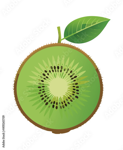 Slice of Kiwi Fruit - Vector Illustration